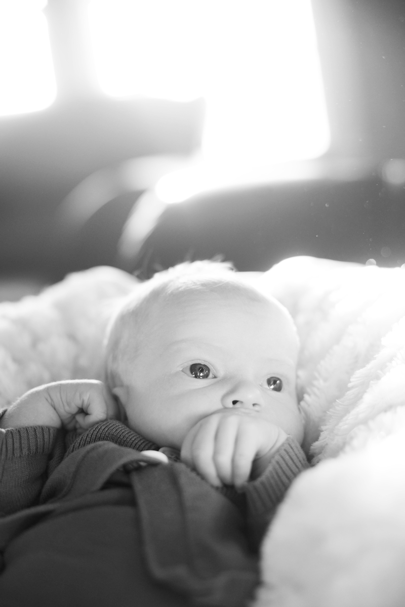 Baby Elise in black and white | Maine Wedding and Portrait Photographer
