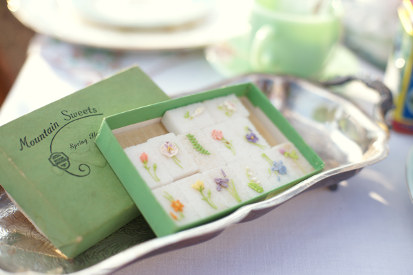 Vintage sugar cube at bridal tea party | Maine Wedding & Portrait Photographer