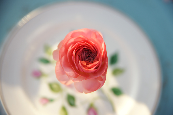 Rose bud on vintage plate | Maine Wedding & Portrait Photographer