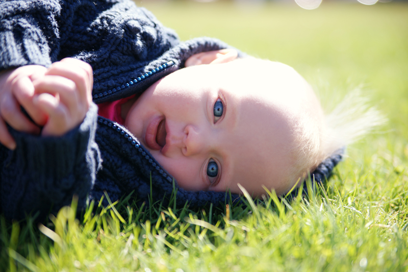 Baby session in the grass | Maine Wedding and Portrait Photographer