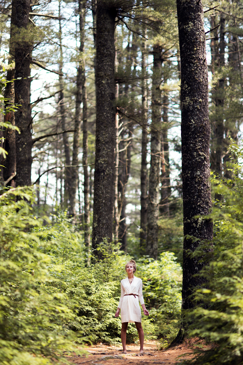 maine-editorial-forest-trees