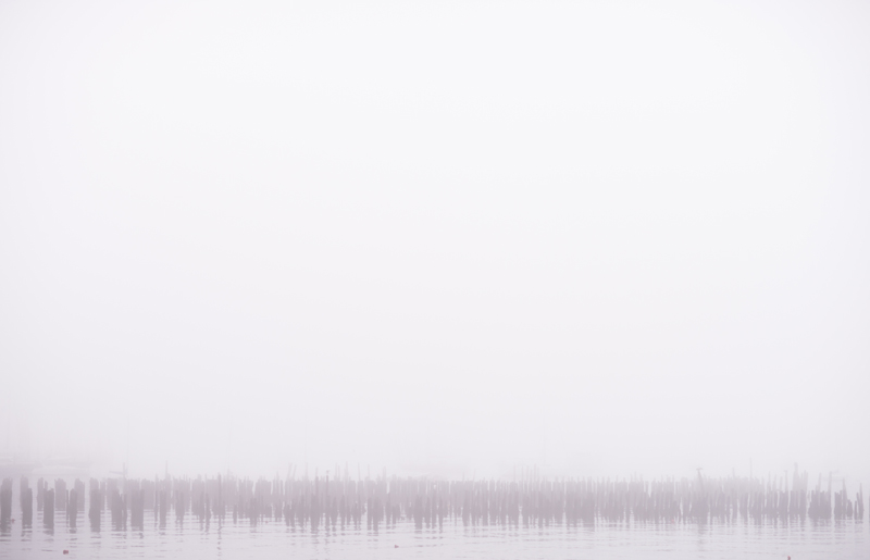 old-port-maine-fog-ocean