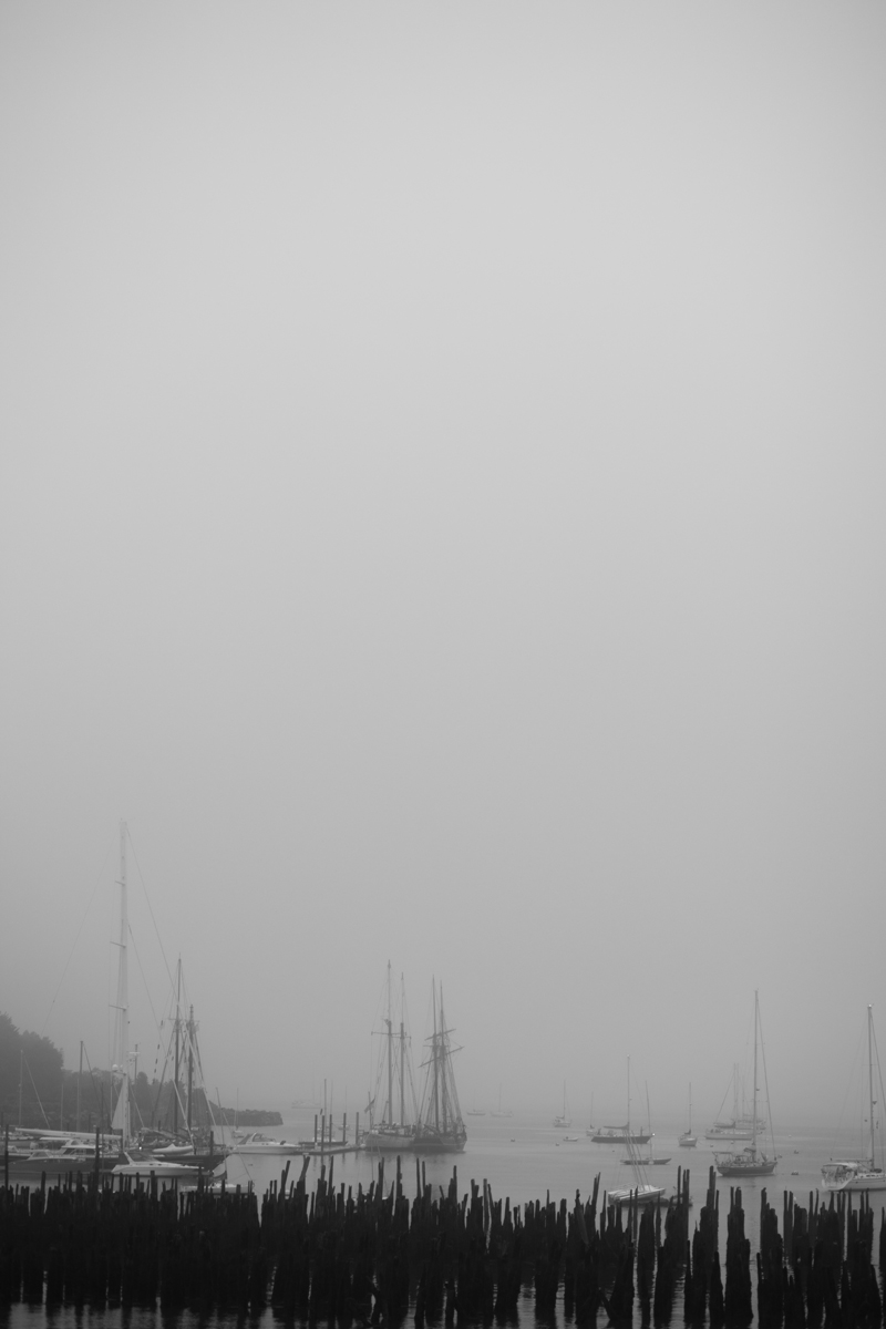 old-port-fog