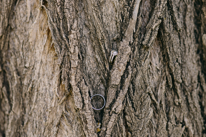 Minneapolis wedding photographer ring shot