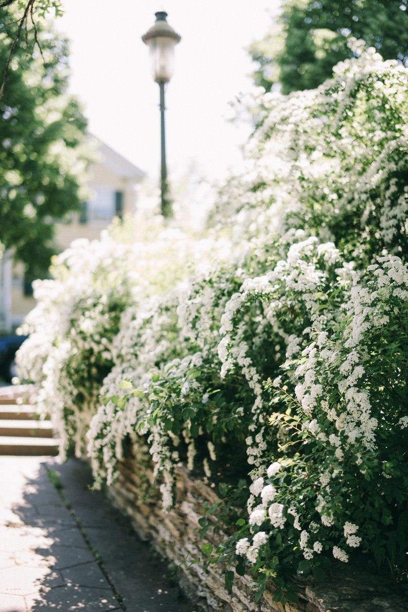 Minneapolis Fine Art Wedding Photographer Forepaughs wedding