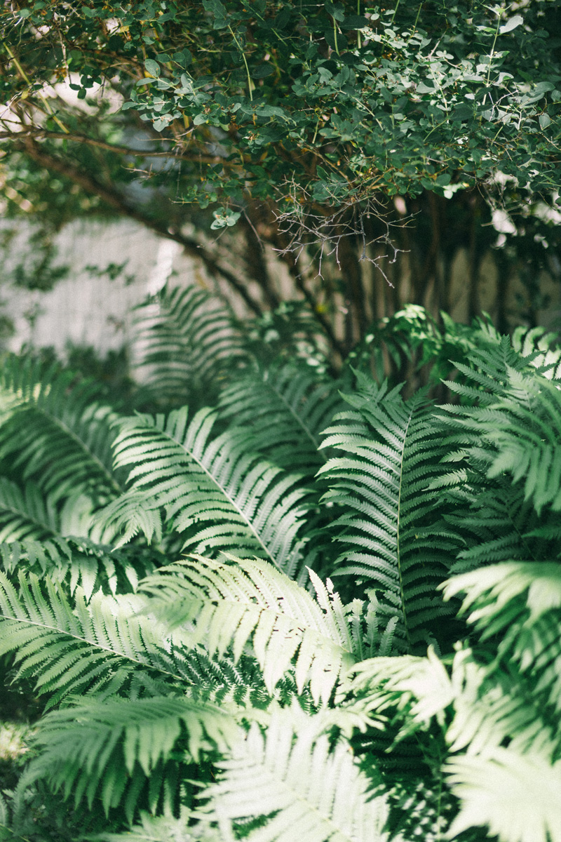 American Swedish Institute wedding Minneapolis