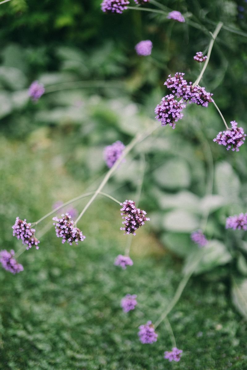 Camrose Hill Stillwater Fine Art Wedding