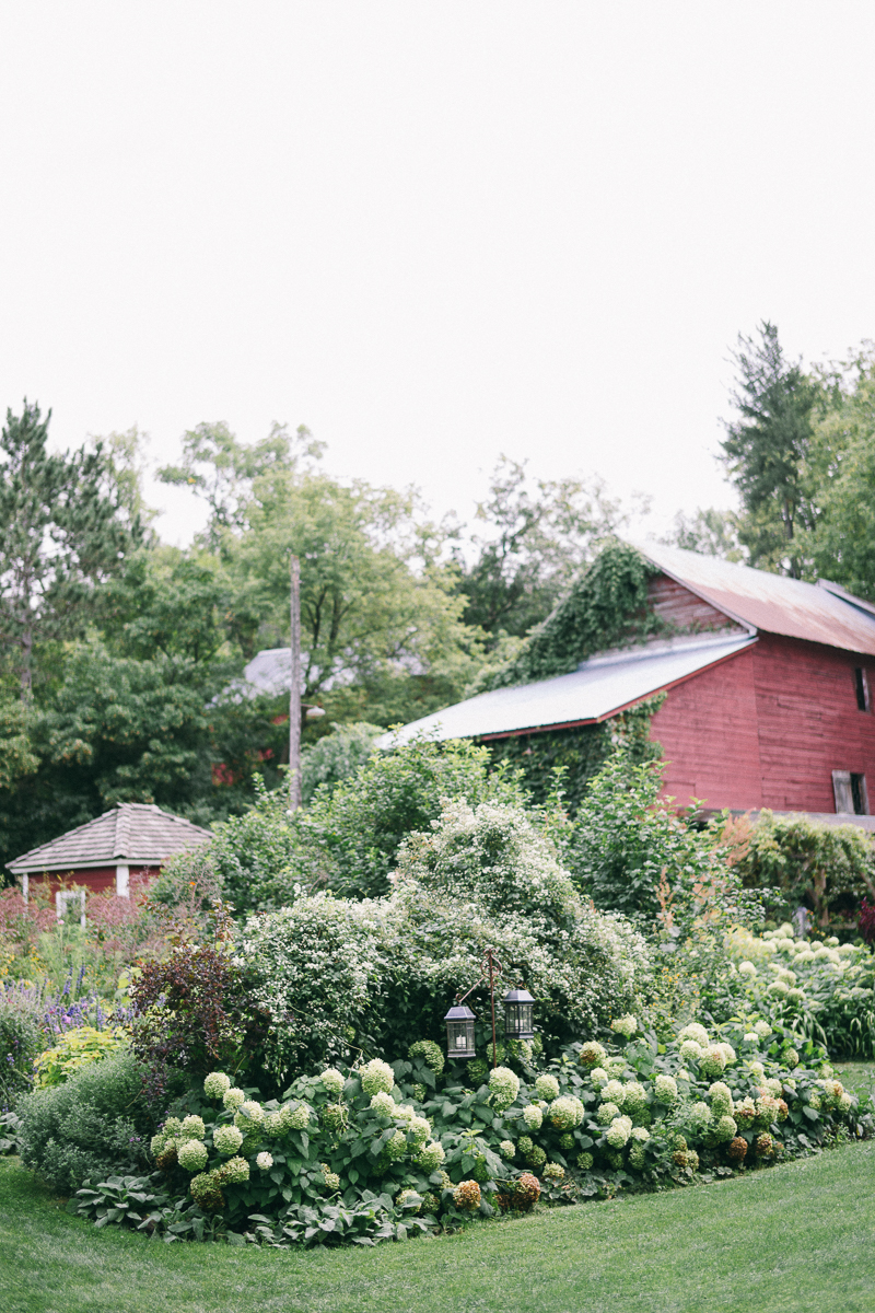 Camrose Hill Stillwater Fine Art Wedding