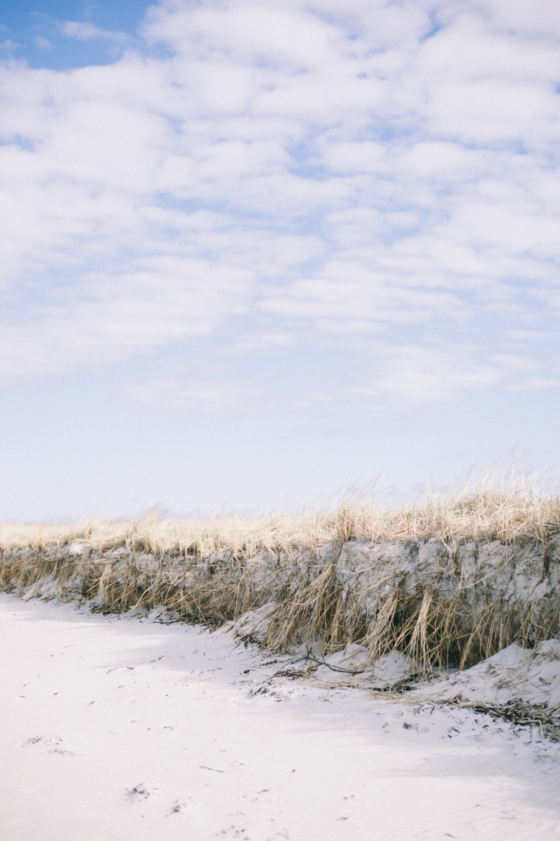 ocean side wedding venue Crane Estate Wedding Venue Massachusetts 