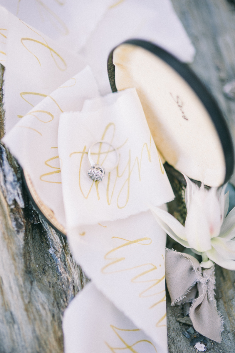 Kettle Cove Wedding Cape Elizabeth Maine