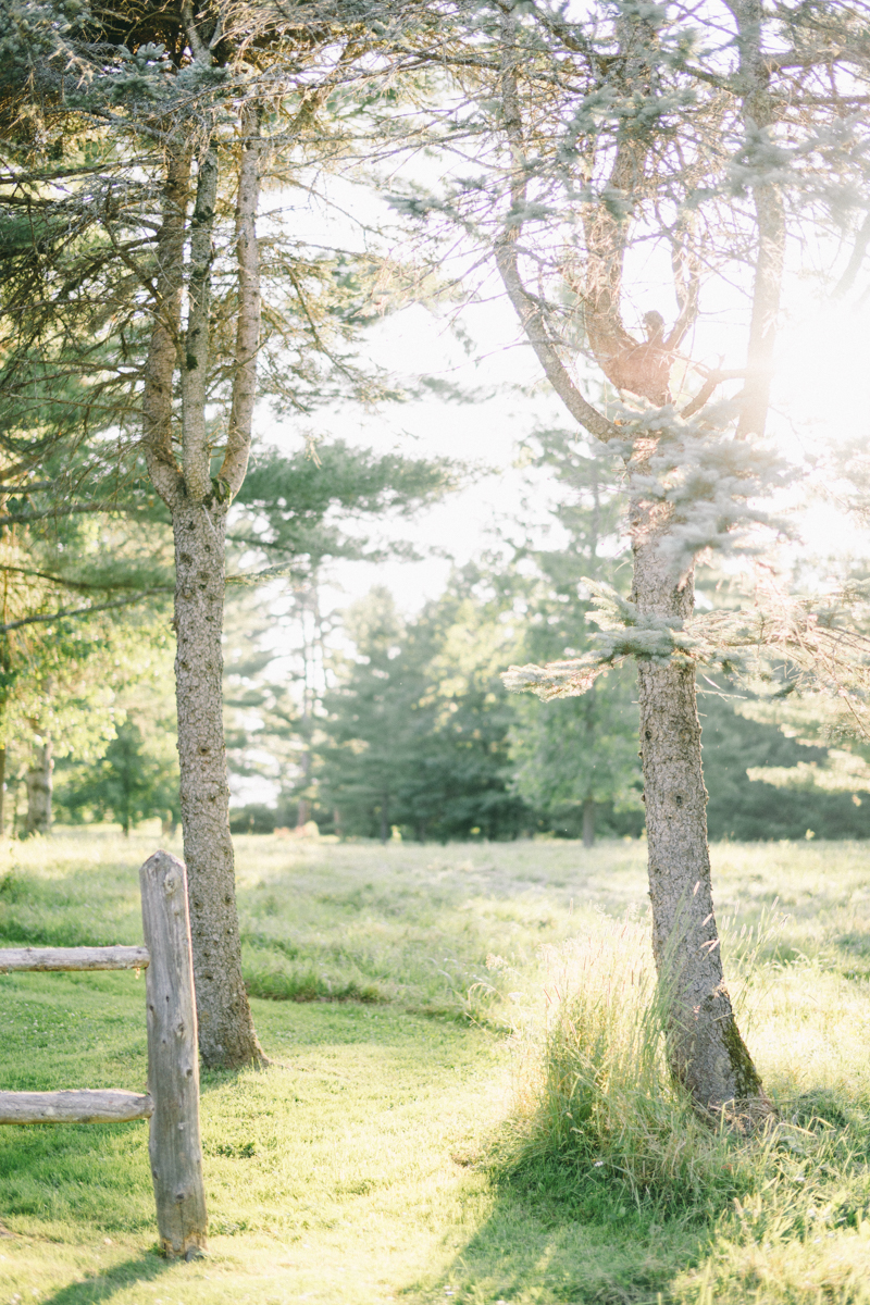 Island Tented Rehearsal Dinner