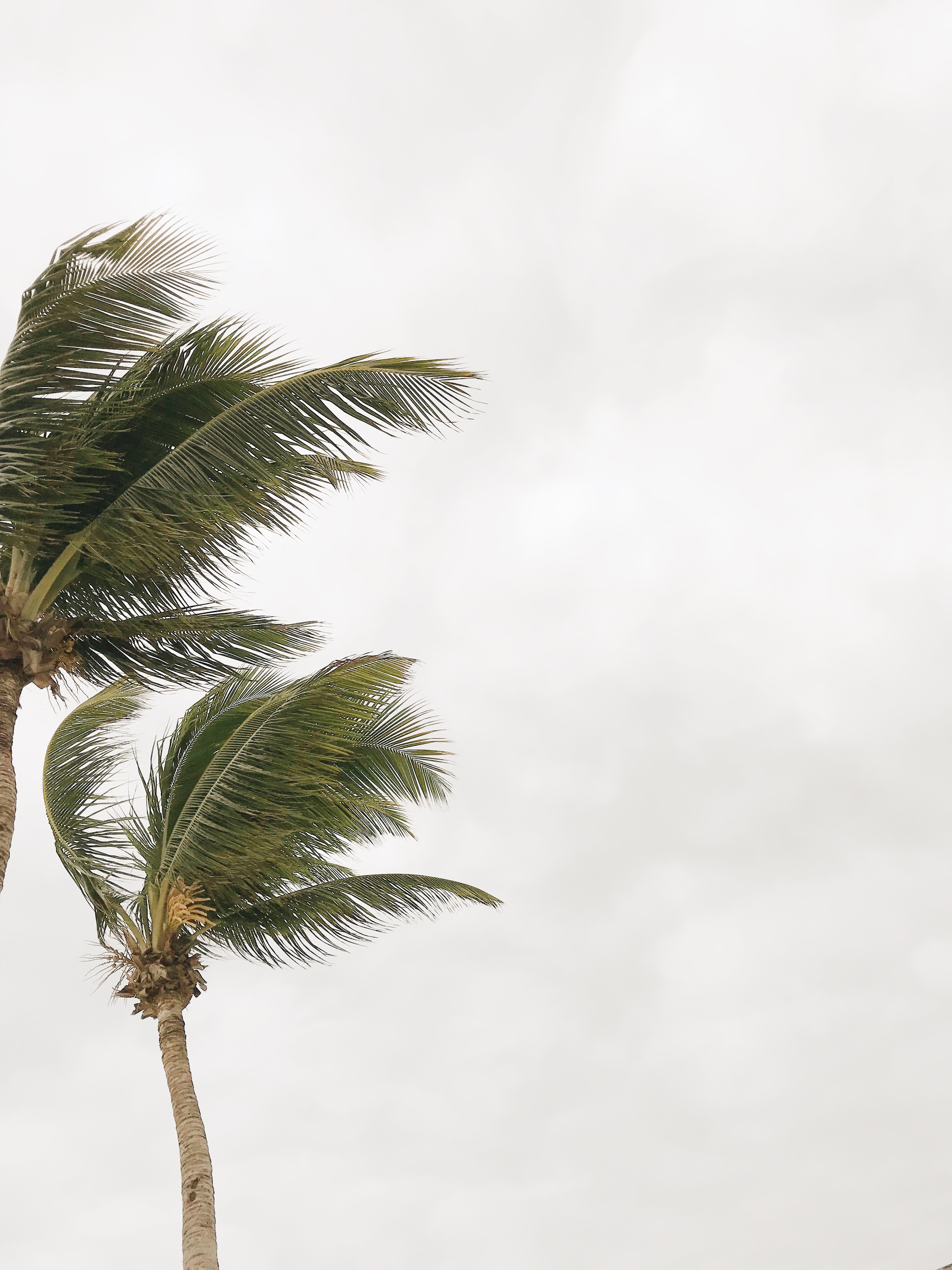 Tulum Mexico wedding photographer