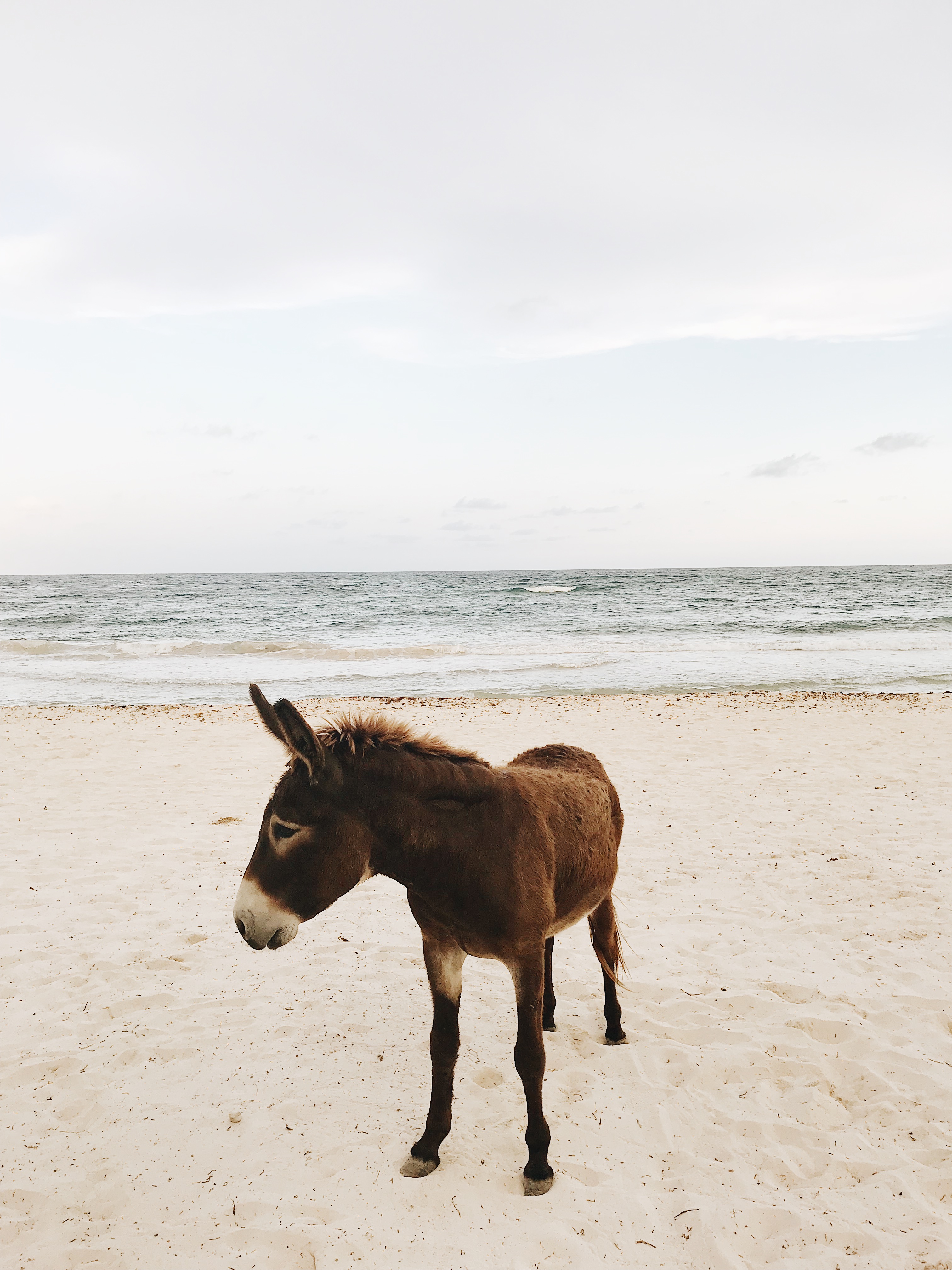 Tulum Mexico wedding photographer