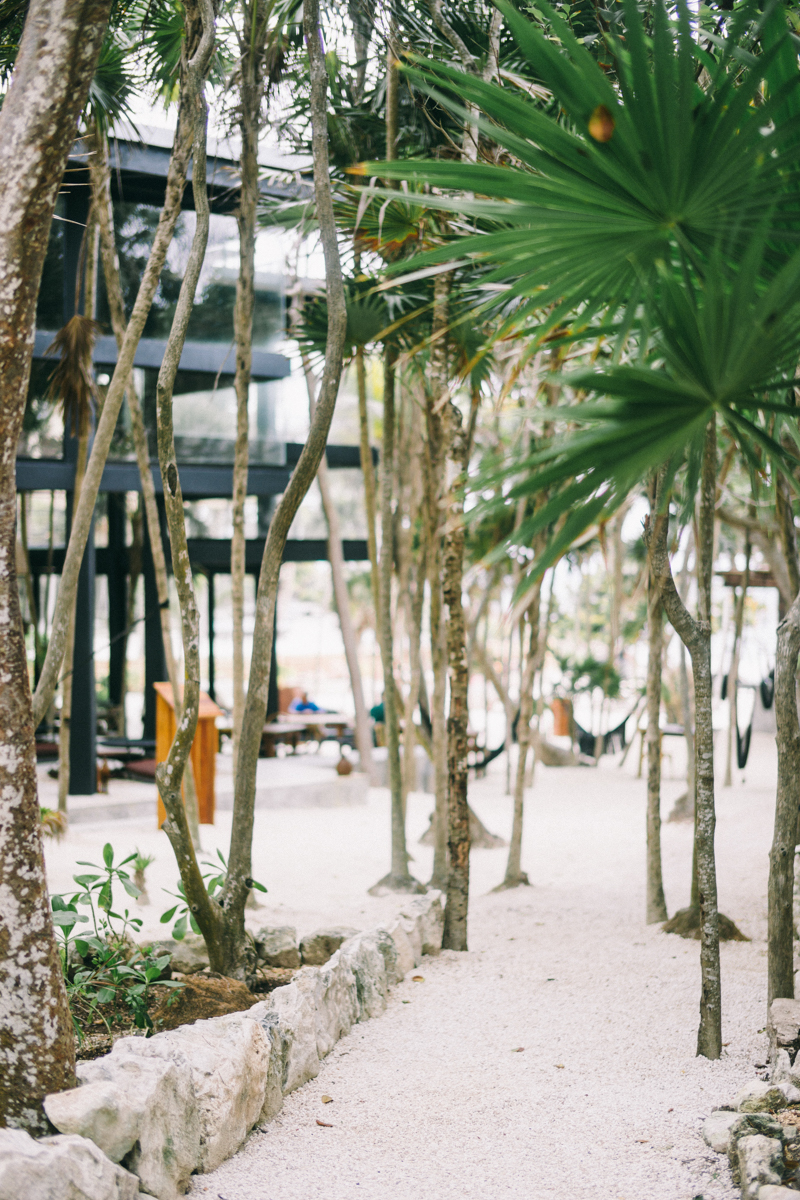 Tulum Photographer