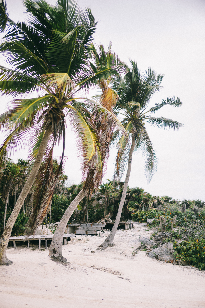 Tulum Photographer