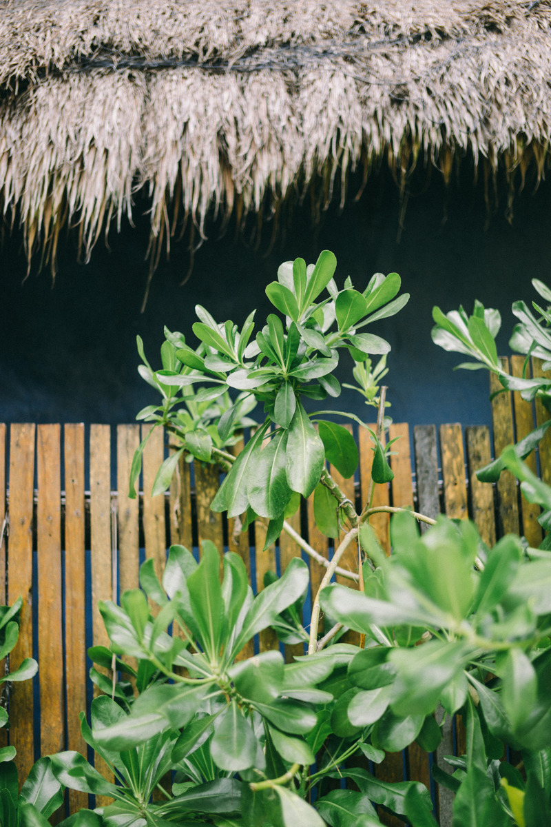 Tulum Photographer