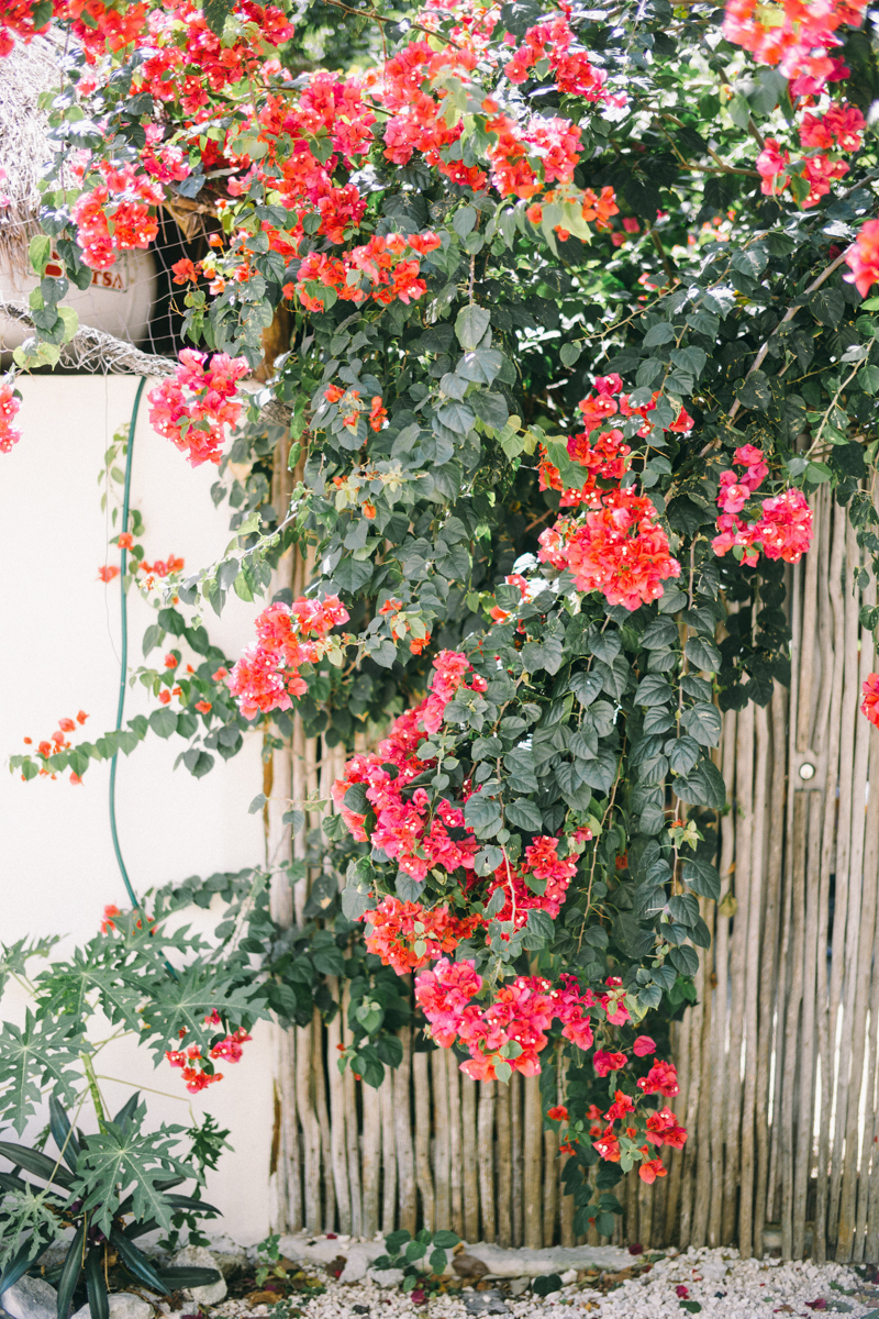 Tulum Photographer