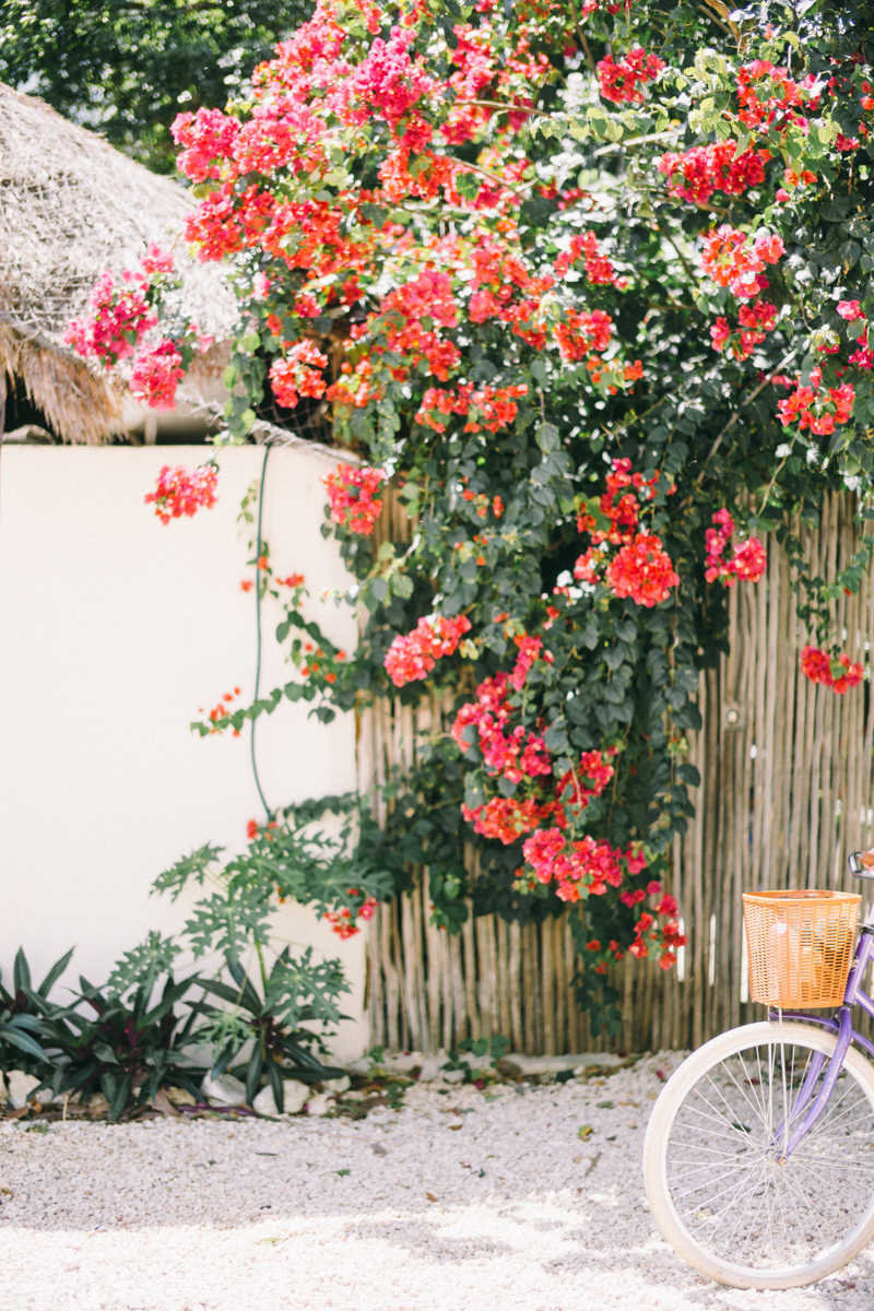 Tulum Photographer