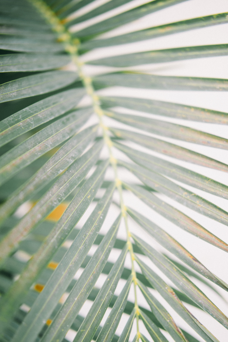 Tulum Photographer