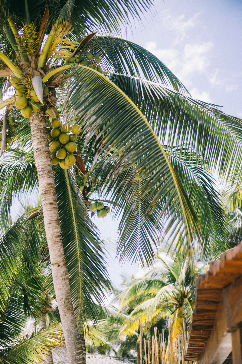 Tulum Photographer