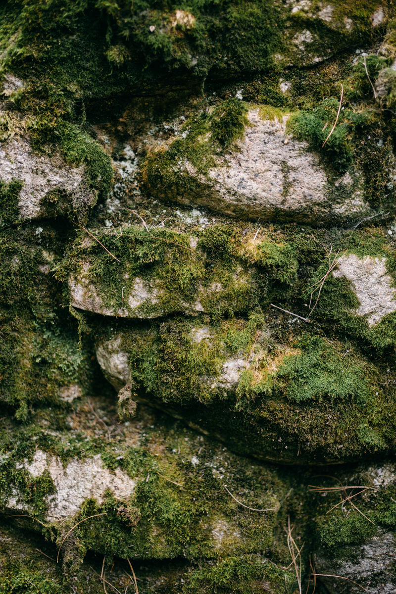 forest fairytale wedding migis lodge maine