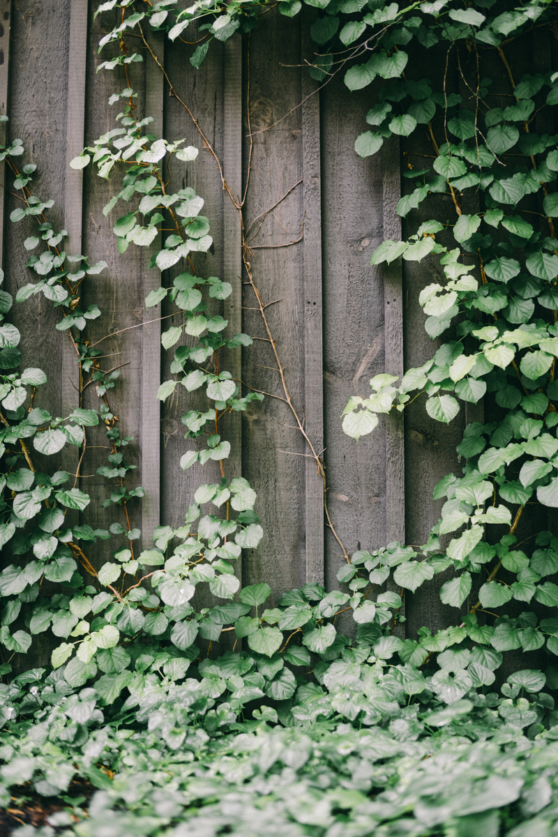 forest fairytale wedding migis lodge maine