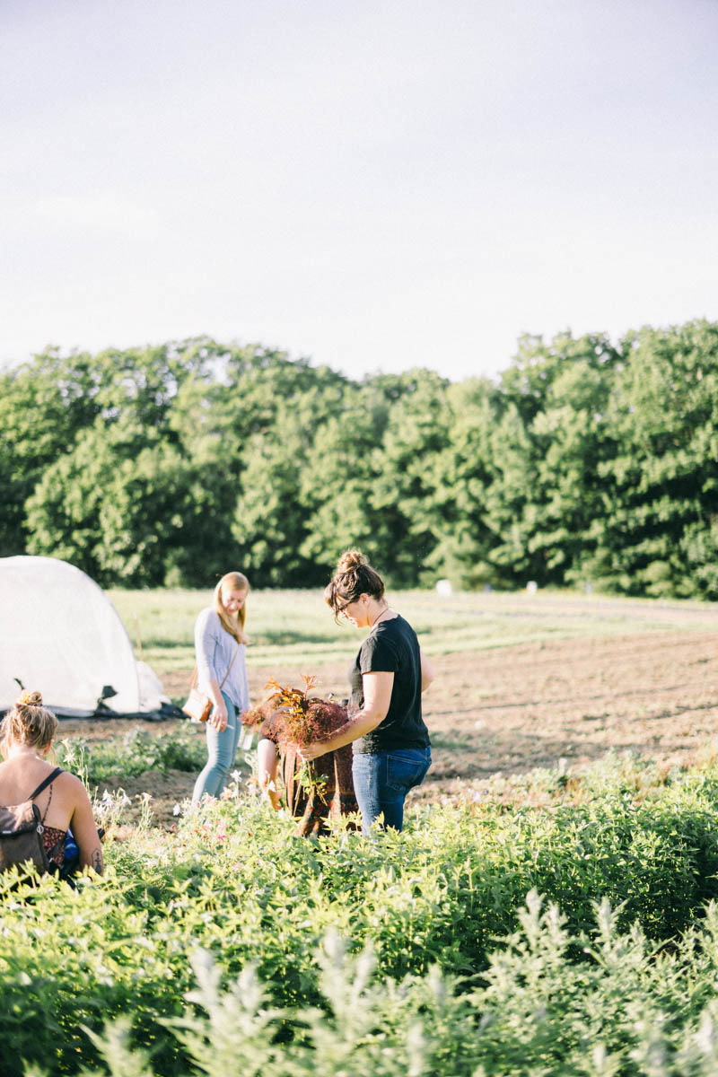 Broadturn Farm Scarborough Maine flower farm and wedding barn venue