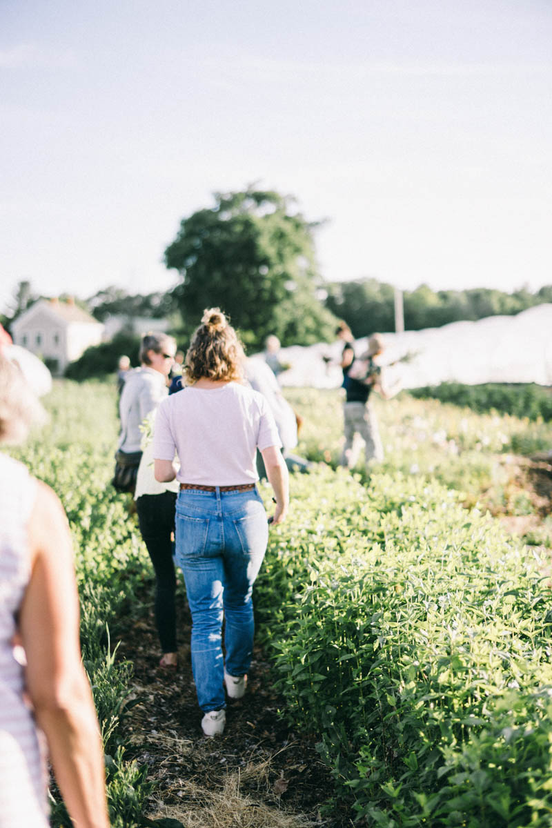 Broadturn Farm Scarborough Maine flower farm and wedding barn venue