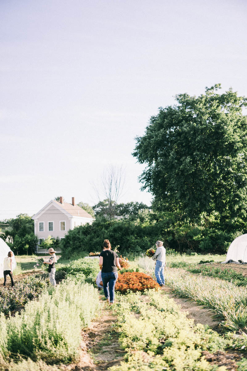 Broadturn Farm Scarborough Maine flower farm and wedding barn venue