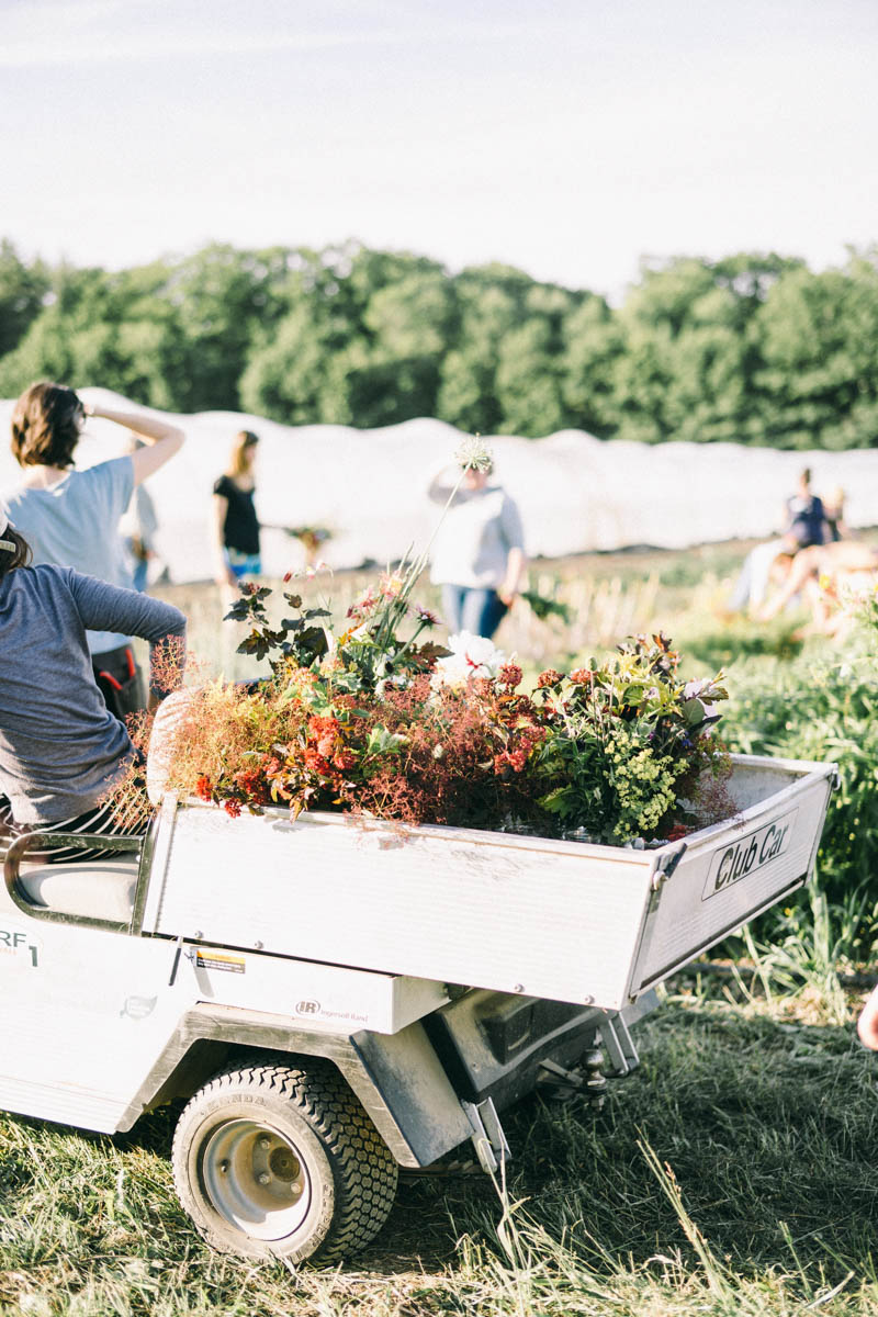 Broadturn Farm Scarborough Maine flower farm and wedding barn venue