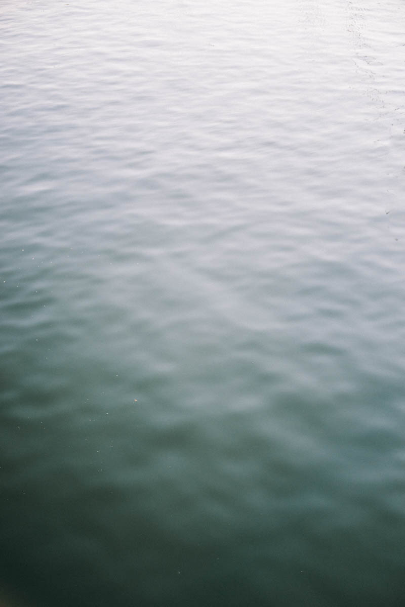 camden maine engagement photos