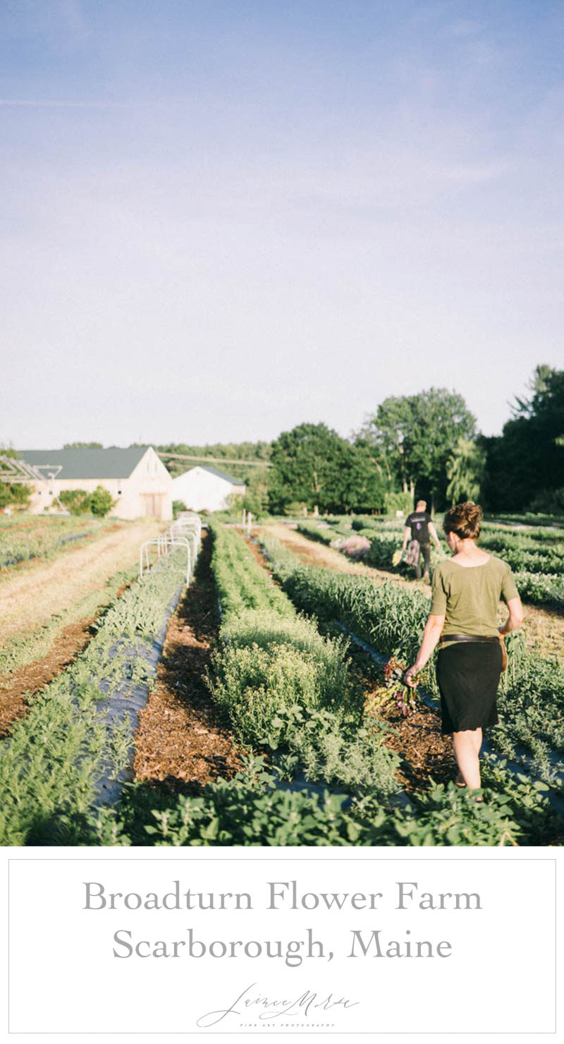 Broadturn Family Farm Scarborough Maine