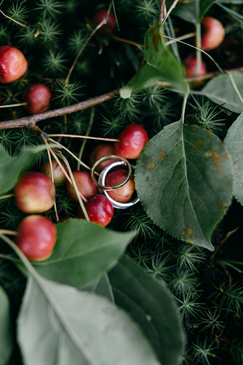Backyard Brunch wedding with fall palette in Dayton Maine