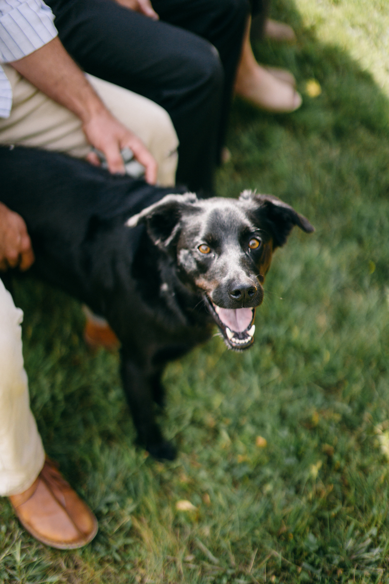 Backyard Brunch wedding with fall palette in Dayton Maine