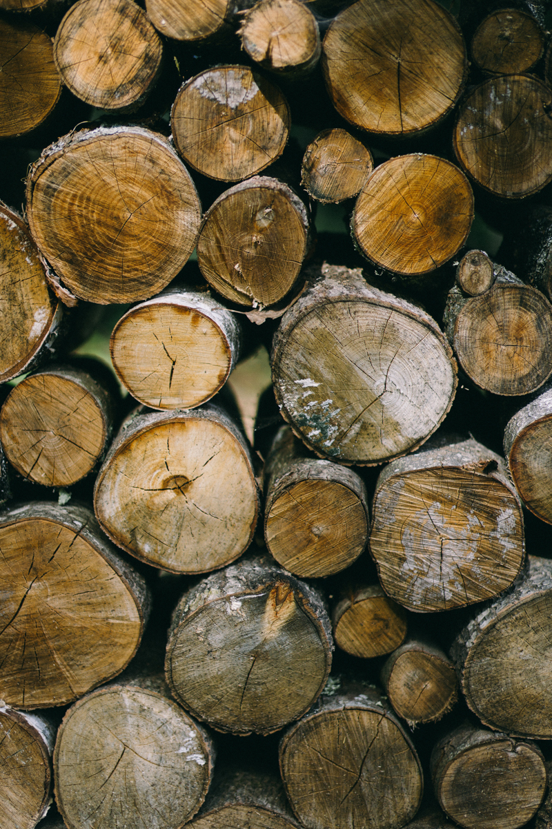 backyard intimate wedding with fall colors in dayton maine