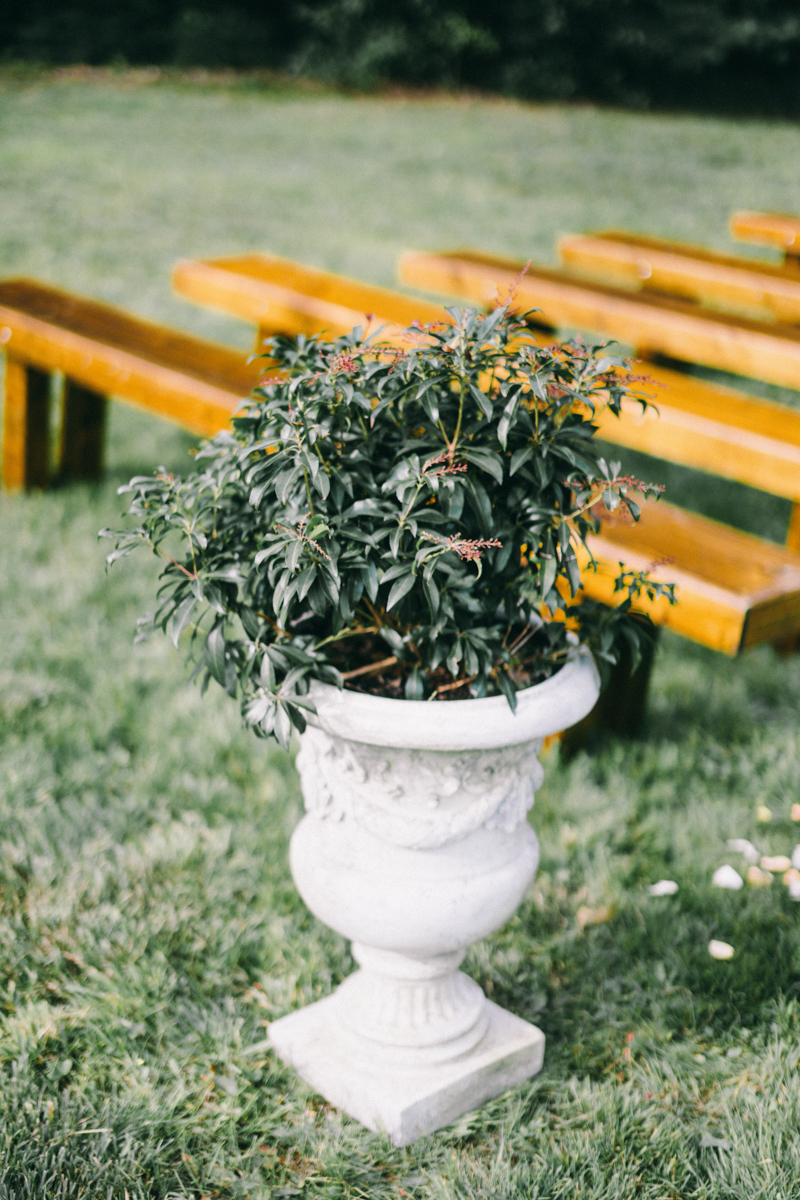 Backyard Brunch wedding with fall palette in Dayton Maine