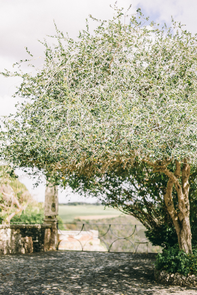 dominican republic engagement photos punta cana altos de chavon fine art engagement session