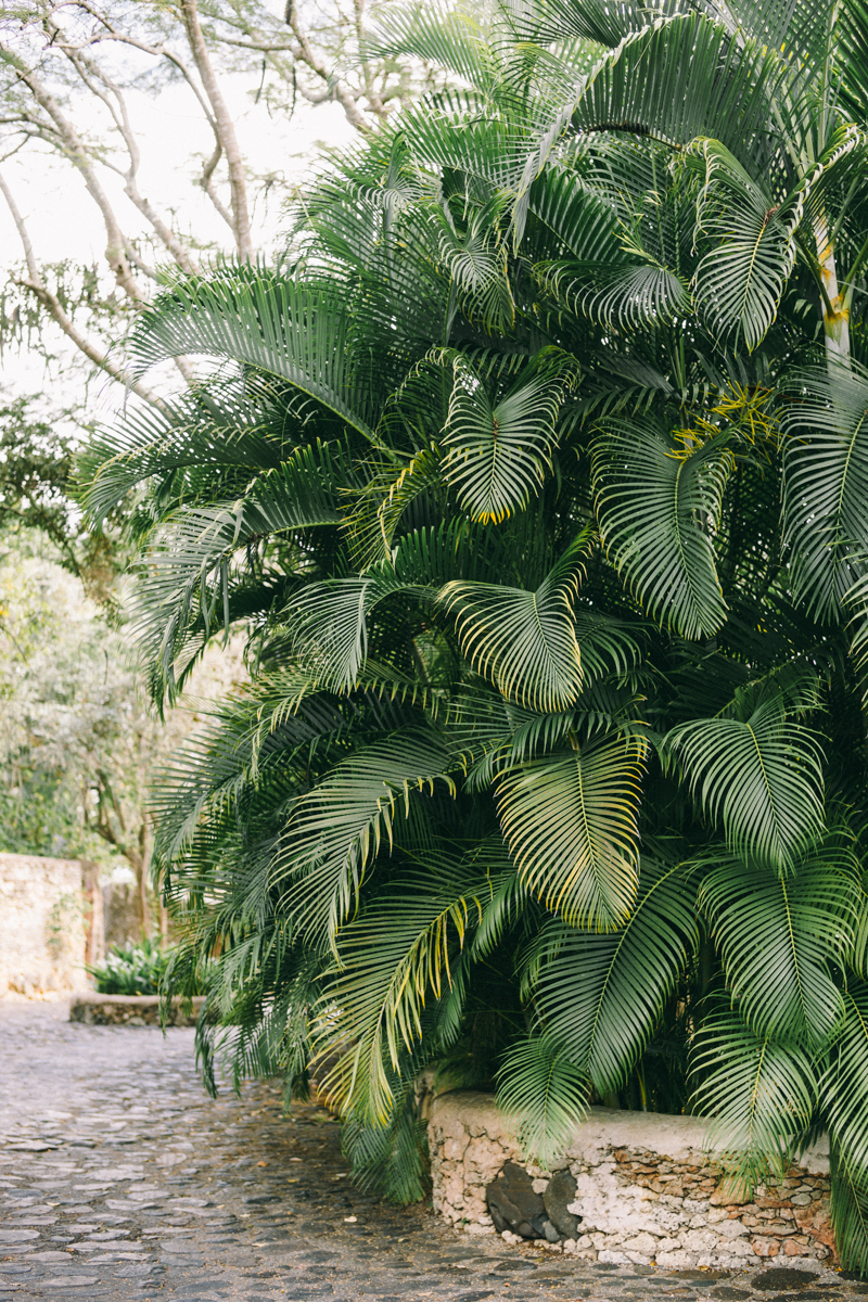 dominican republic engagement photos punta cana altos de chavon fine art engagement session