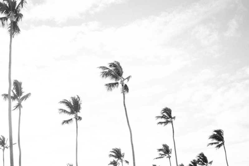 Majestic Elegance Punta Cana Fine Art Wedding Photography Dominican Republic