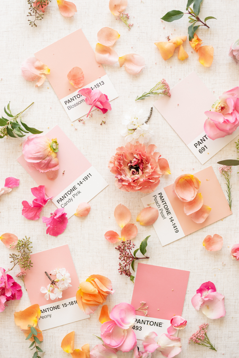 newport feminine pink wedding