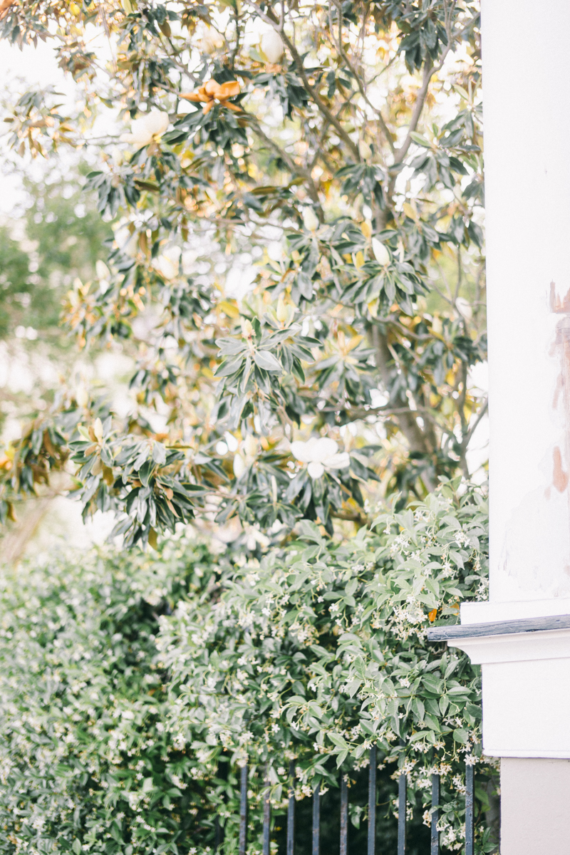 Charleston bridal portraits | Rainbow Row wedding photos | Charleston wedding photographer