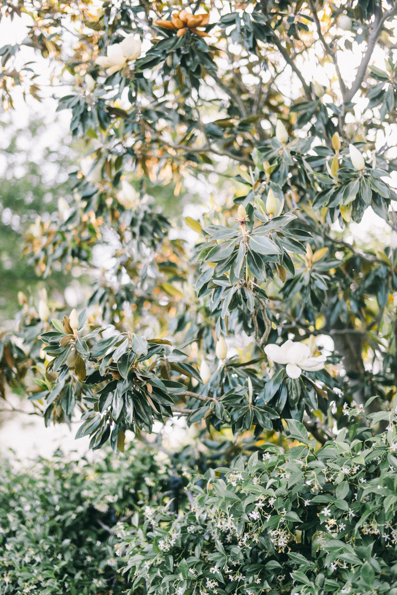 Charleston bridal portraits | Rainbow Row wedding photos | Charleston wedding photographer