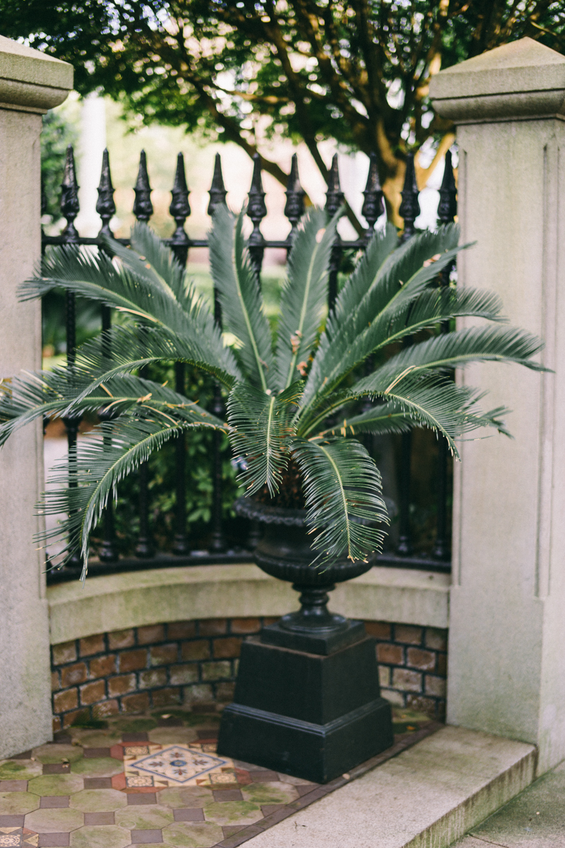 Charleston bridal portraits | Rainbow Row wedding photos | Charleston wedding photographer