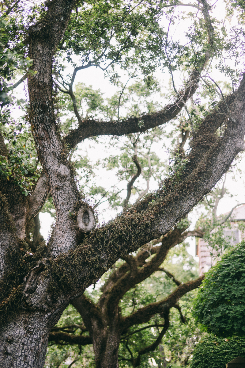 Charleston bridal portraits | Rainbow Row wedding photos | Charleston wedding photographer