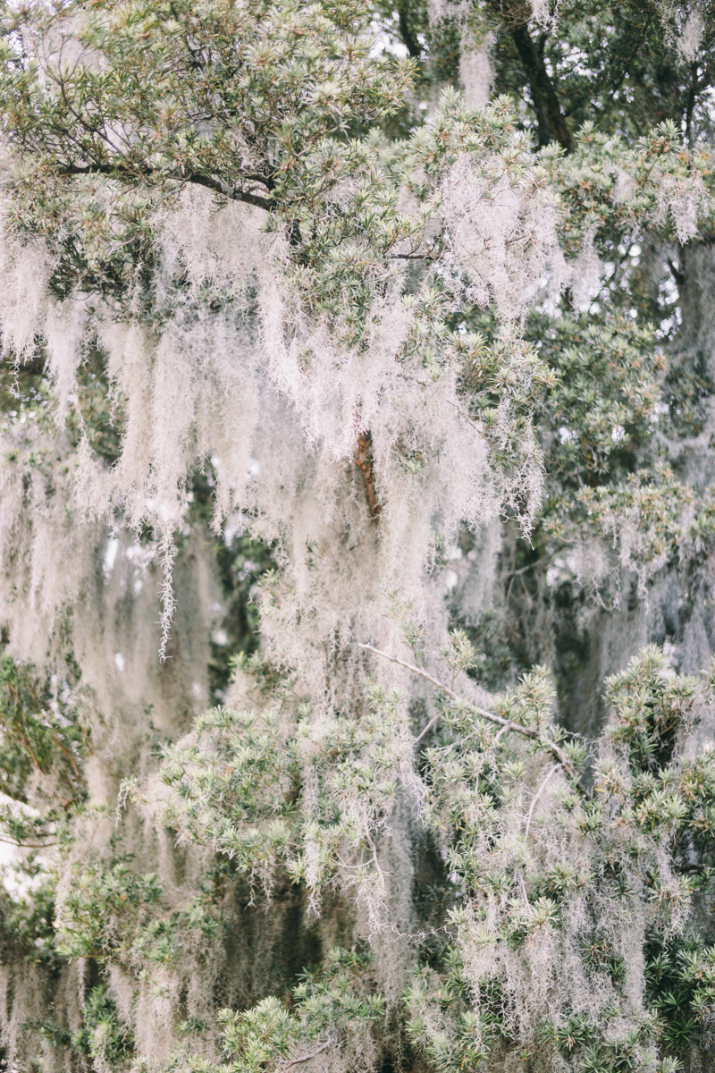 Charleston bridal portraits | Rainbow Row wedding photos | Charleston wedding photographer