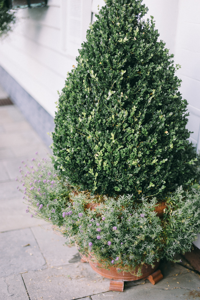 Charleston bridal portraits | Rainbow Row wedding photos | Charleston wedding photographer