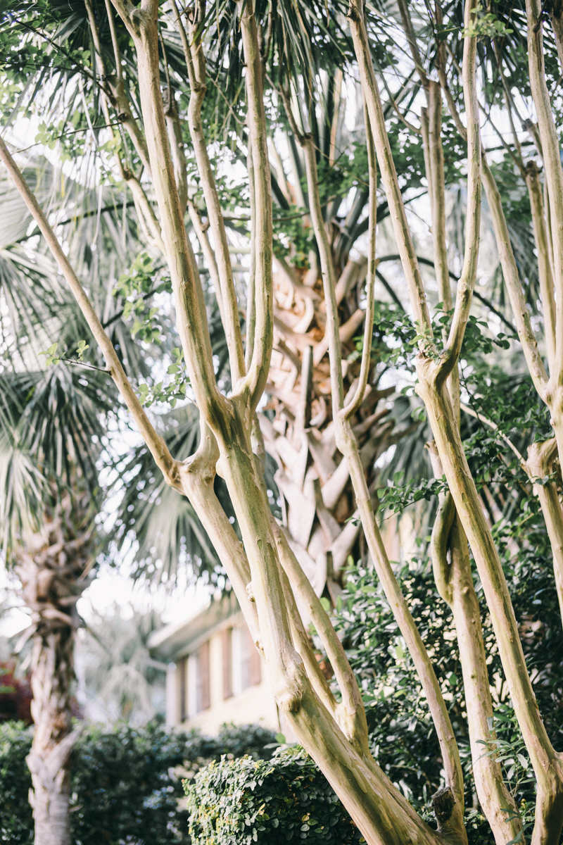 Charleston bridal portraits | Rainbow Row wedding photos | Charleston wedding photographer