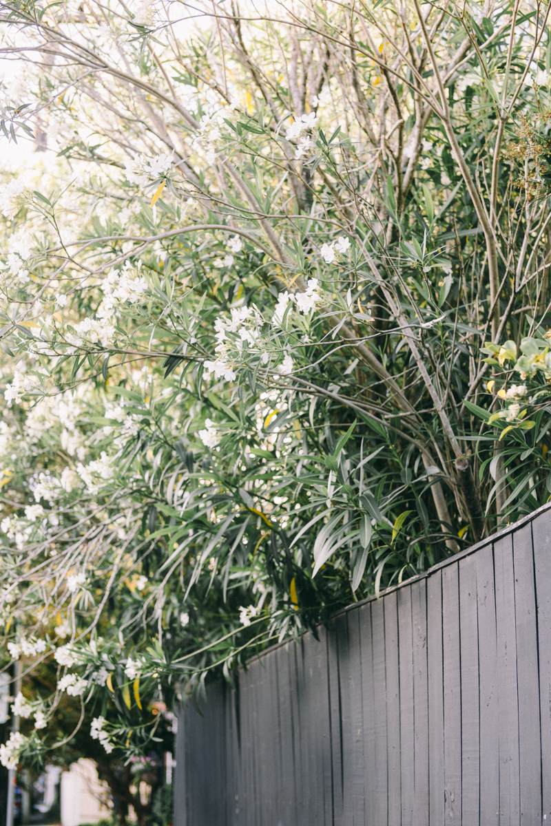 Charleston bridal portraits | Rainbow Row wedding photos | Charleston wedding photographer