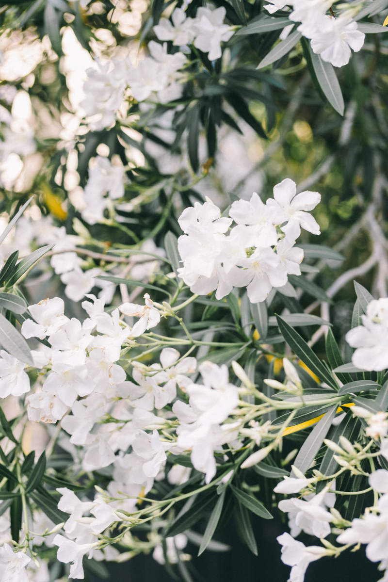 Charleston bridal portraits | Rainbow Row wedding photos | Charleston wedding photographer