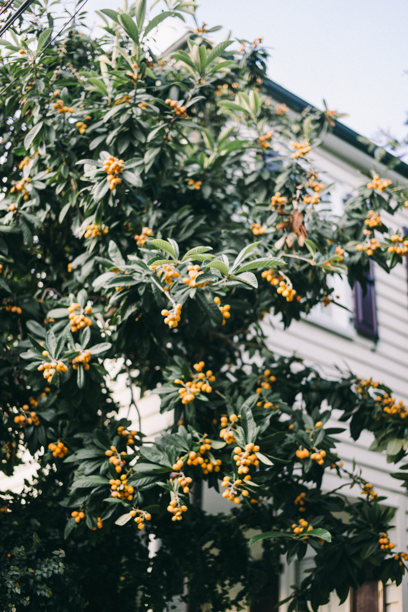 Charleston bridal portraits | Rainbow Row wedding photos | Charleston wedding photographer